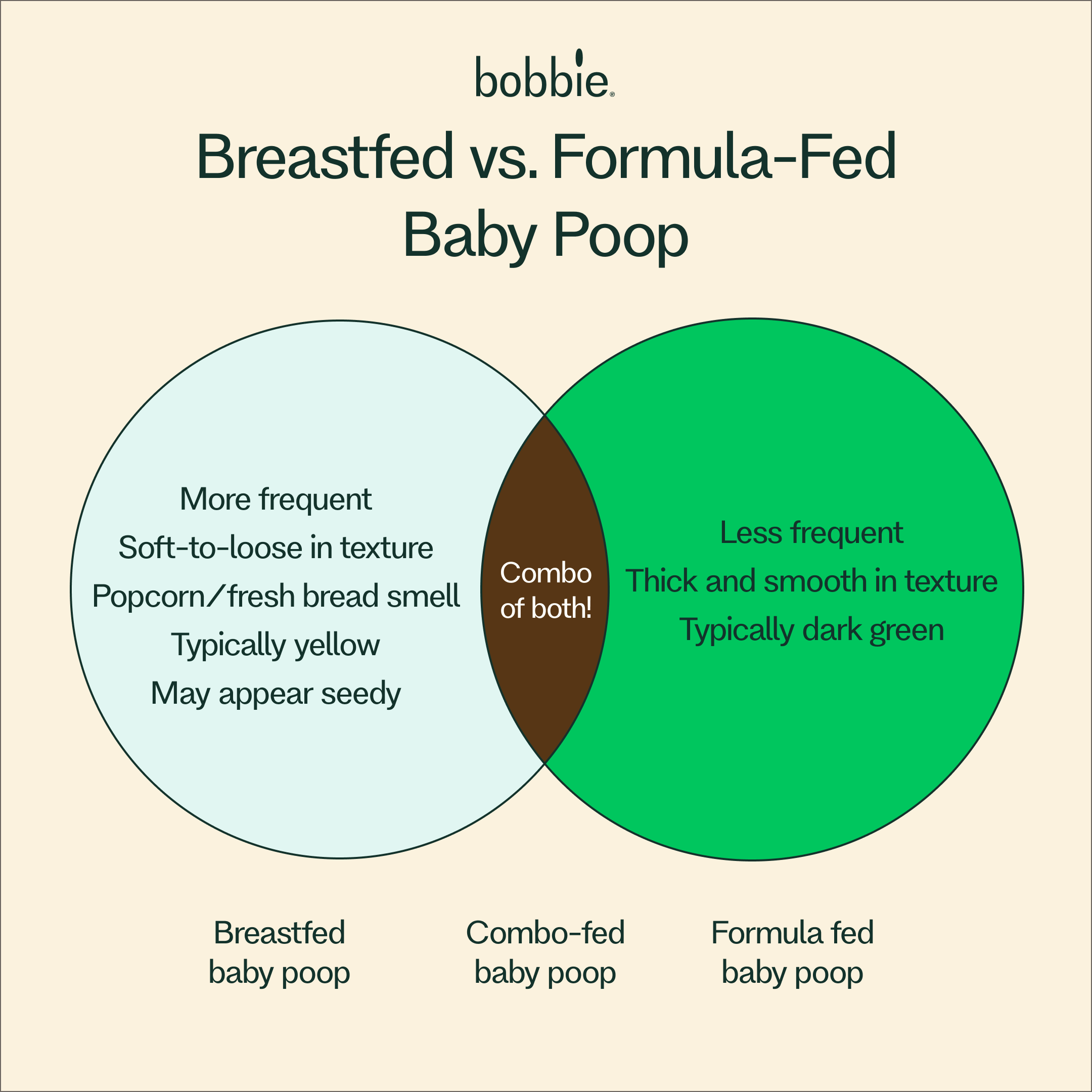 Newborn Frothy Poop: What Every New Parent Needs To Know